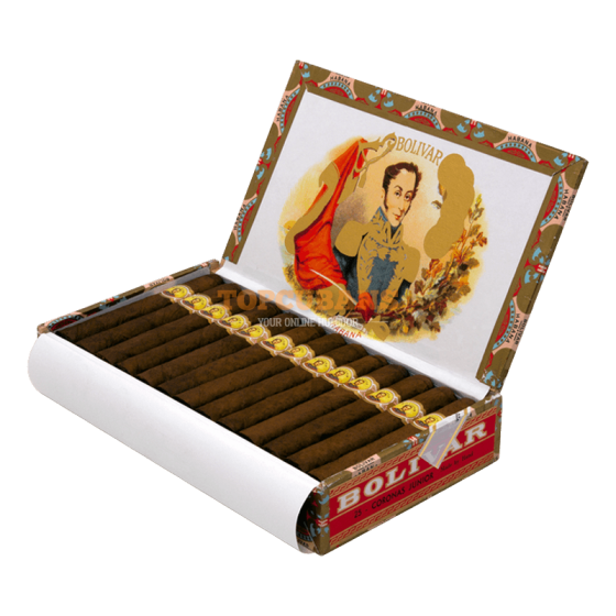 Bolivar Coronas Junior