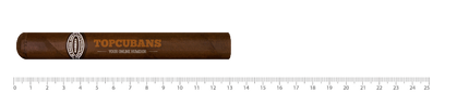 Rafael Gonzalez Petit Coronas