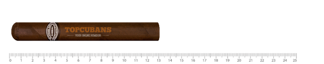 Rafael Gonzalez Petit Coronas