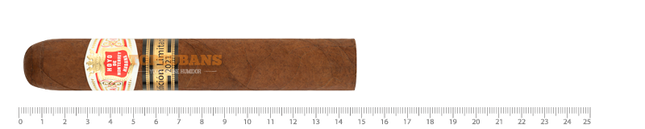 Hoyo De Monterrey Monterreyes No. 4